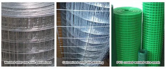 Galvanized and PVC Coated Welded Wire Mesh for Cage and Garden Fence