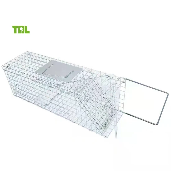 Live Animal Trap Iron Cage Catch Humane Cat Cage Trap for Animal