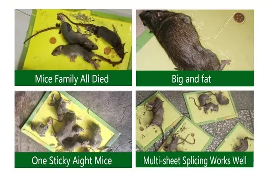 2025 Household Pest Control Mice Glue Pad Plastic Tray Mouse Killer Disposable Adhesive Rodent Trap Powerful Sticky Board Rat Glue Traps From China